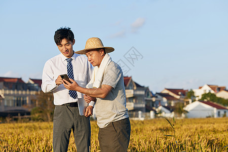 商人和农民一起查看手机图片