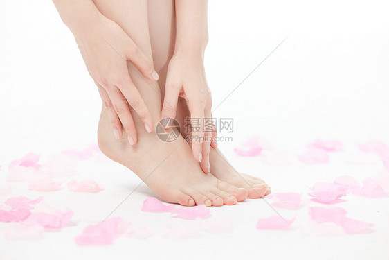 脚部护理与花瓣图片