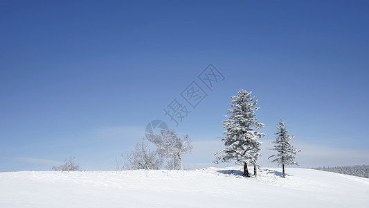 东北雪谷风景区背景图片