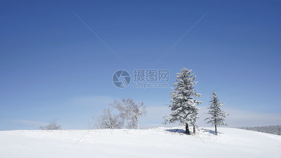 东北雪谷风景区图片