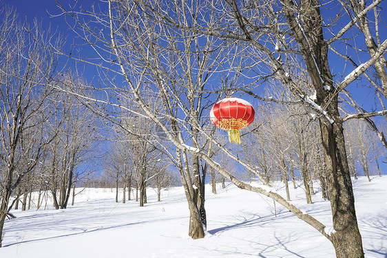 东北雪谷风景区图片