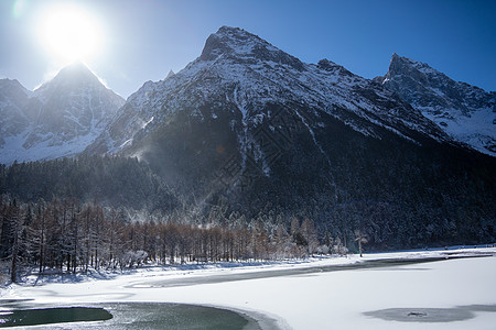 冬天雪山下树林的雪景图片