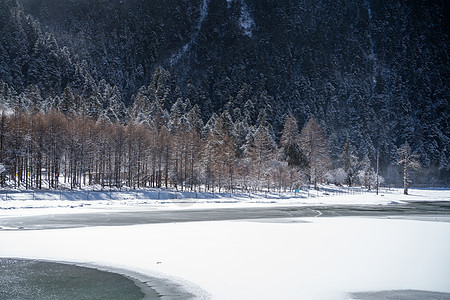 冬天雪山下树林的雪景图片