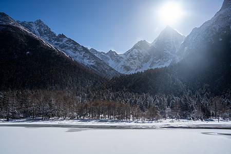 冬天雪山下树林的雪景图片