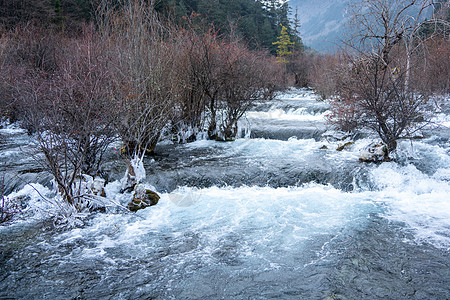 九寨沟冬景川西九寨沟树正群海背景