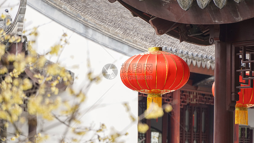 冬天新年腊梅和红灯笼图片