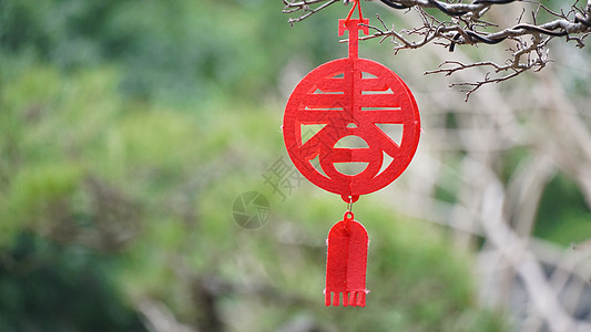  凤凰牌新年春节挂着的春字挂饰背景