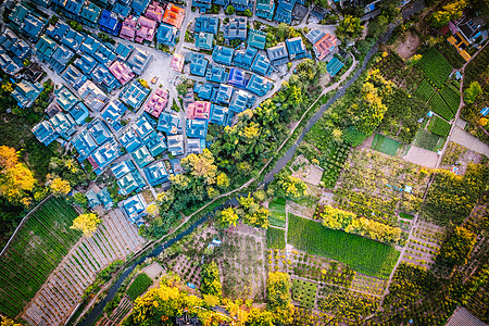 航拍夕阳下的西双版纳植物园建筑和森林图片