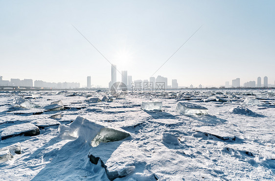 哈尔滨冰雪大世界松花江采冰场图片