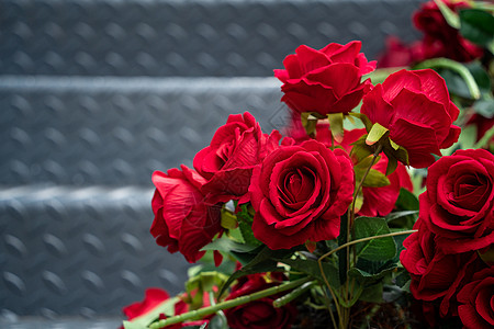 红玫瑰情人节玫瑰花背景
