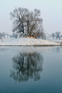 冬季冰雪树木植被湖水图片