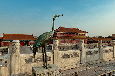 八月北京北京故宫古建筑景观背景