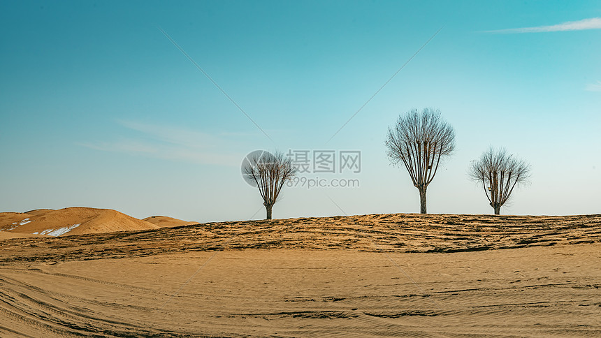 宁夏沙坡头5A景区春季景观图片