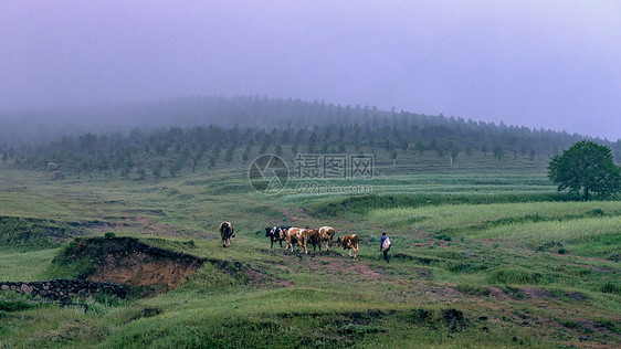 张家口草原天路夏季旅游景观图片