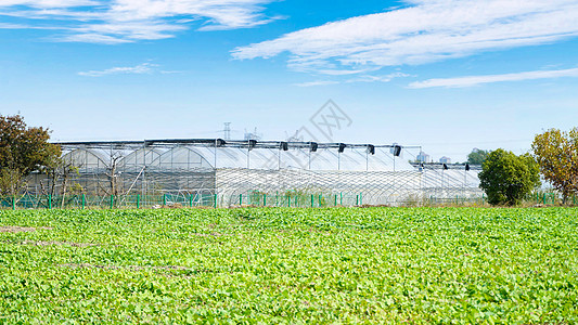 蔬菜大棚农业大棚和菜地背景