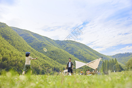 玩耍的父子爸爸和儿子在草坪上玩飞盘背景