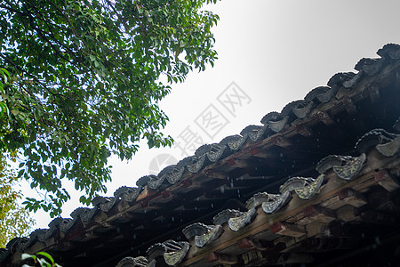 春天绿色春天古建筑雨水背景