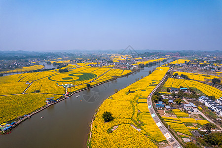 重庆潼南崇龛油菜花背景