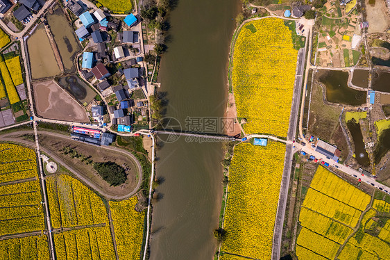 重庆潼南崇龛油菜花图片