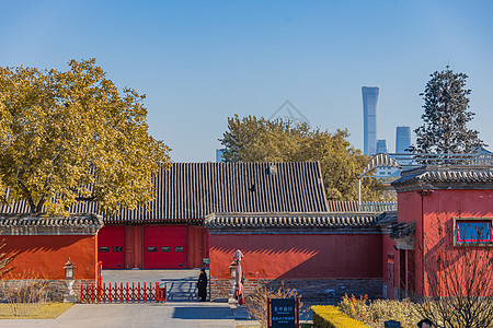 春天春和景明的故宫背景图片