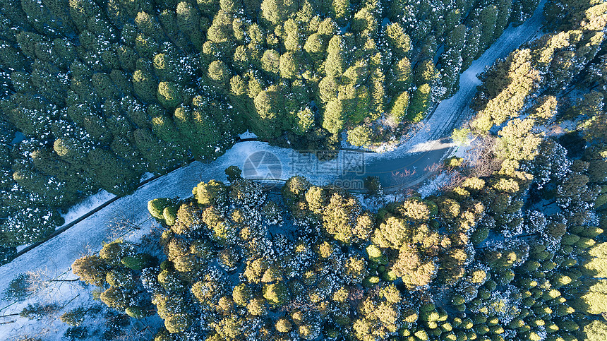 航拍冬天江西旅游庐山景区雪景图片