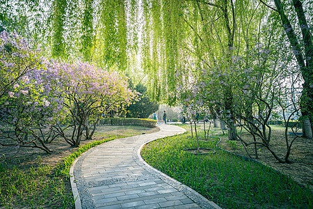 春天北京陶然亭公园背景