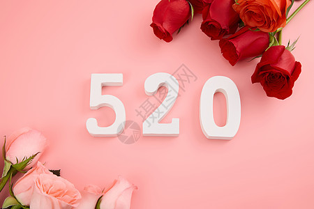 520红粉玫瑰对放朋友圈背景图背景图片