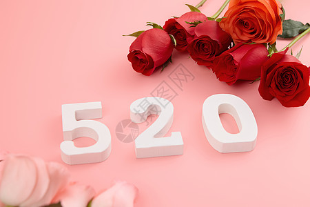 520红粉玫瑰对放粉色系壁纸背景图片