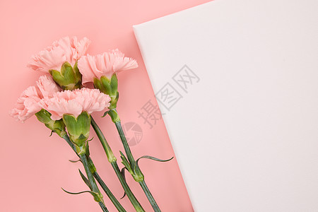 桌面上斜放的粉色康乃馨图片