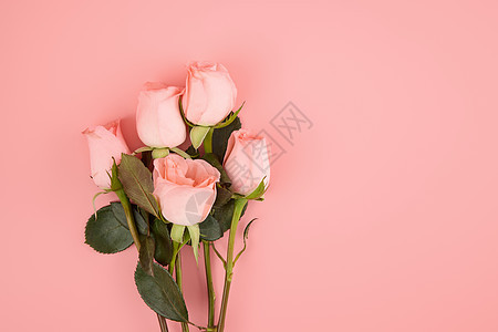 粉色系玫瑰横版壁纸背景图片