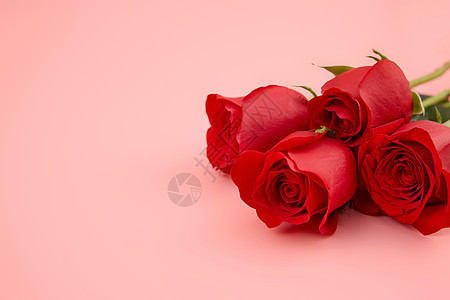 520红色玫瑰花束特写背景图片