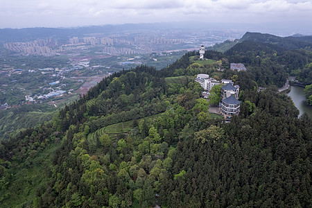 重庆巴南春天的茶山航拍图片