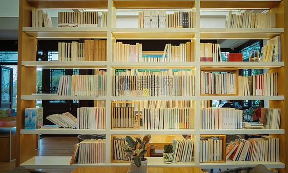 书屋书架上的书图片