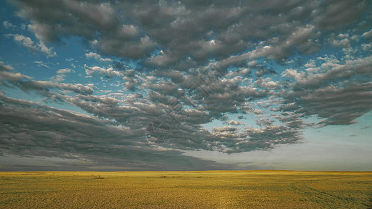 内蒙古农田植被多云图片