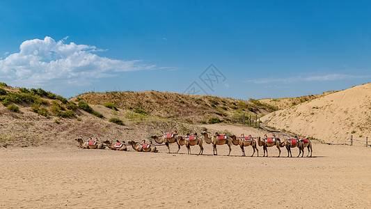 内蒙古库布其沙漠春季景观高清图片