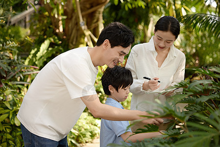 一家人在植物园参观记录图片
