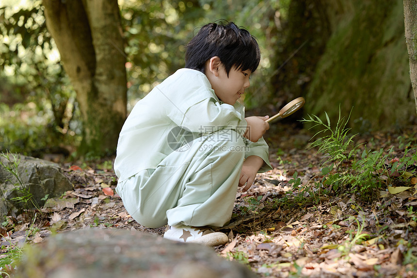 小男孩拿着放大镜蹲在地上观察植物图片