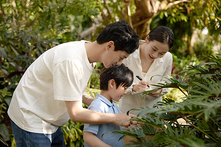 在学习一家人在植物园观察记录背景