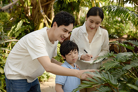 儿童启蒙探索一家人在植物园观察记录背景