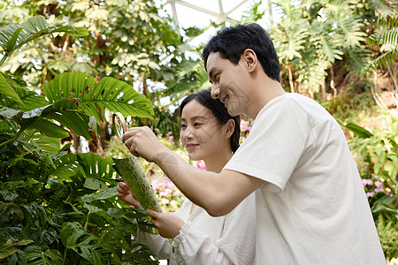 植物园里认真探讨植物的青年图片