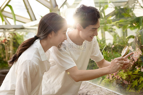 植物园里观察植物的年轻小情侣图片