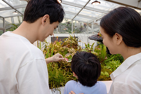 植物园里拿放大镜观察的一家三口图片