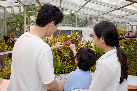 植物园里拿放大镜观察的一家三口图片