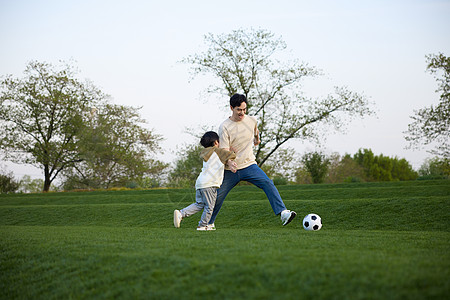 正在草坪上奔跑追球的父子俩图片