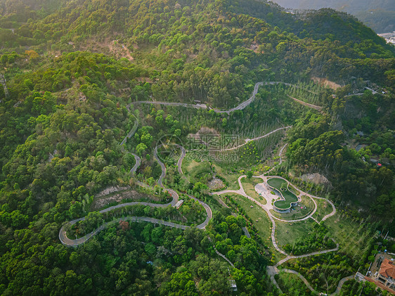 夏季重庆巫山森林盘山公路图片