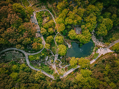 夏季重庆巫山森林盘山公路图片