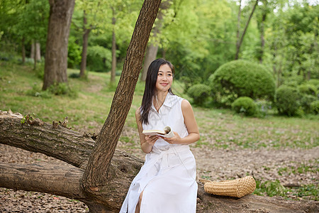 坐在粗壮树干上看书的美女图片