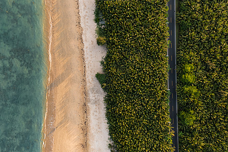 航拍海南博鳌红石滩海边椰林公路图片