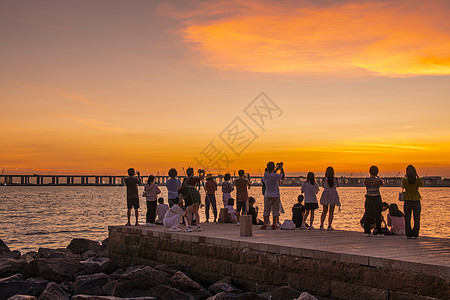 夏季广东深圳西湾红树林公园夕阳落日景观图片