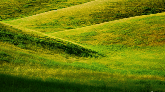 山丘上的草场背景图片